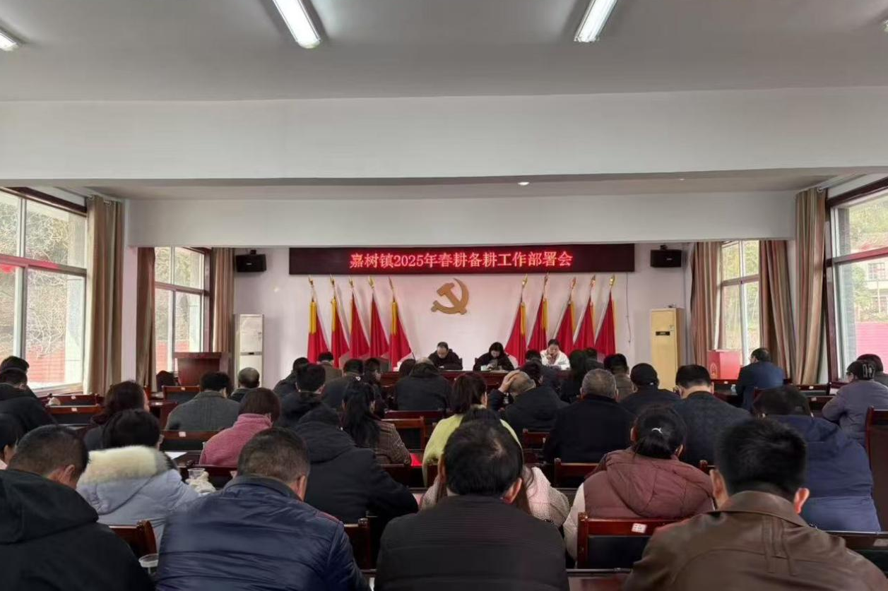嘉树镇：抓农时 备春耕