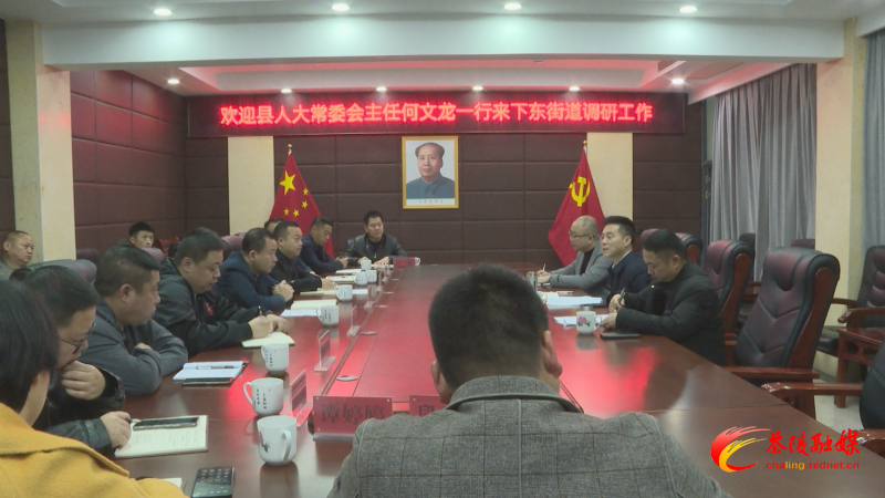 何文龙到下东街道调研指导工作
