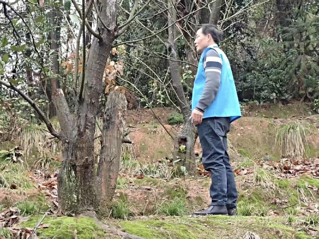 护林员文见君：退伍不褪色