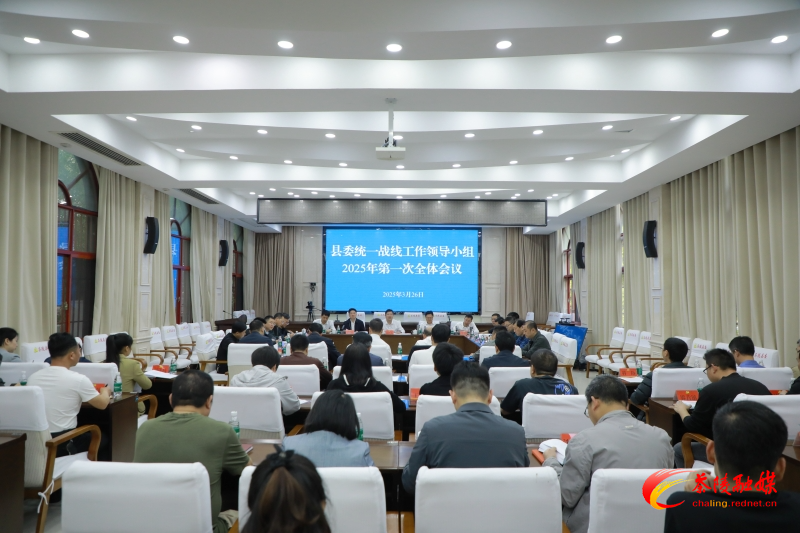 茶陵县委统一战线工作领导小组2025年第一次全体会议召开