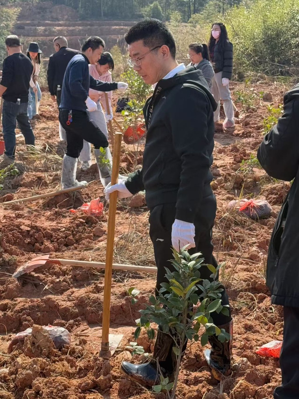 市供销社开展义务植树主题党日活动