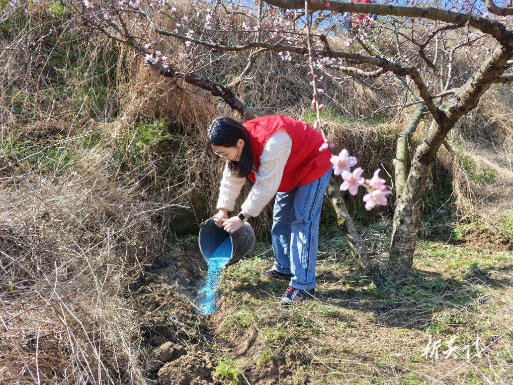 垄溪乡：人大代表助力乡村振兴 田间地头践行为民初心