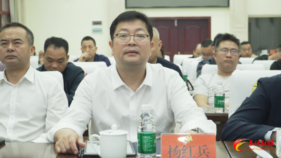茶陵县组织收听收看株洲市应急和安全生产委员会2025年第一次全体成员会议暨防汛备汛工作电视电话会议