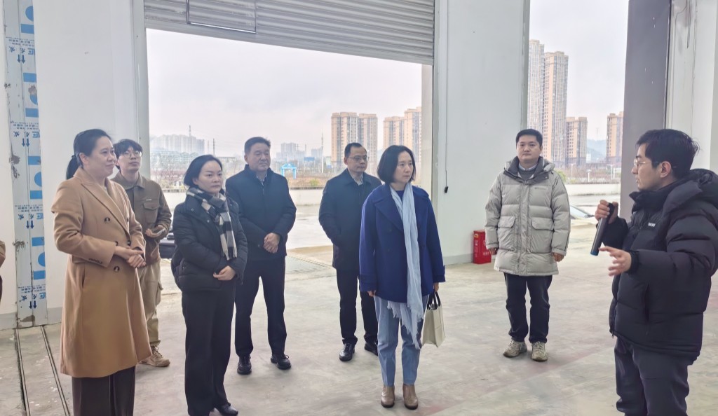 国家发展改革委国际合作中心、省发改委经贸处一行来株调研