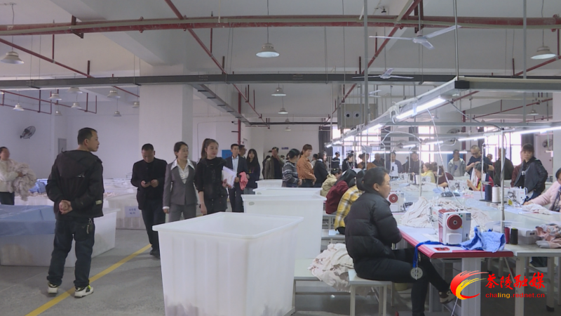 茶陵：精准对接促就业 凝心聚力惠民生