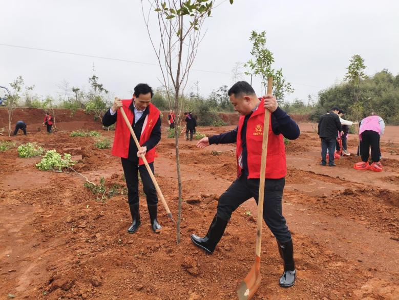 联星街道：植绿正当时，共赴春天“树”约
