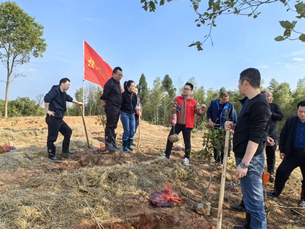 义务植树添新绿，幸福株洲向未来              ------市发改委开展植树活动