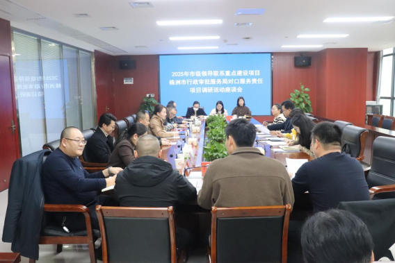 市行政审批局一行来渌口区调研重点项目