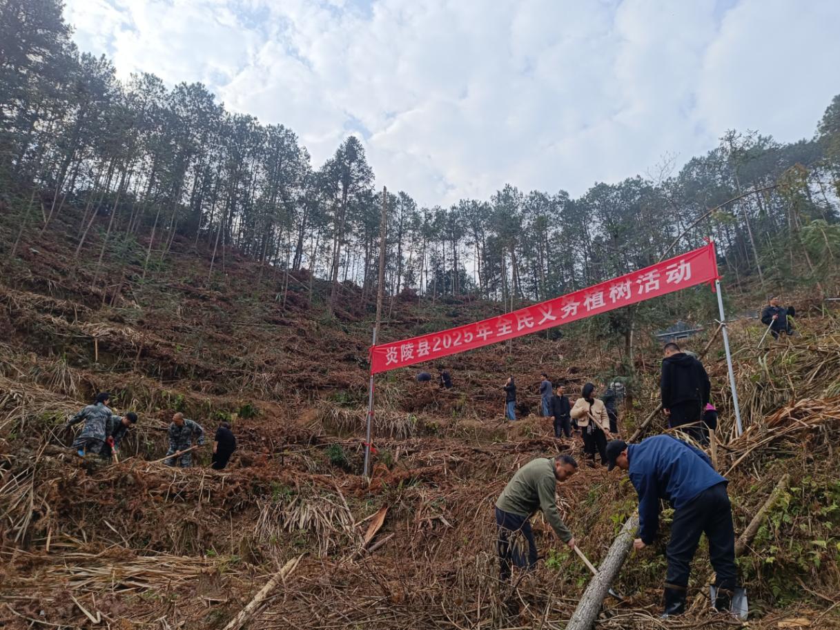 炎陵分局执"笔"赴青山绘就绿色炎陵