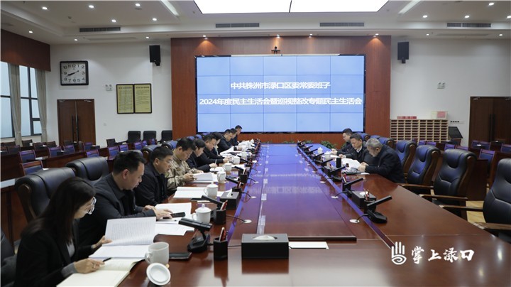 区委常委班子召开2024年度民主生活会暨巡视整改专题民主生活会