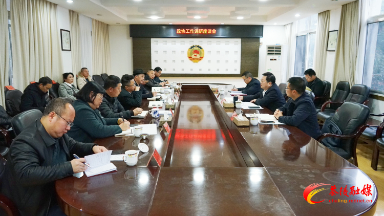 杨红兵到县人大、县政协机关调研