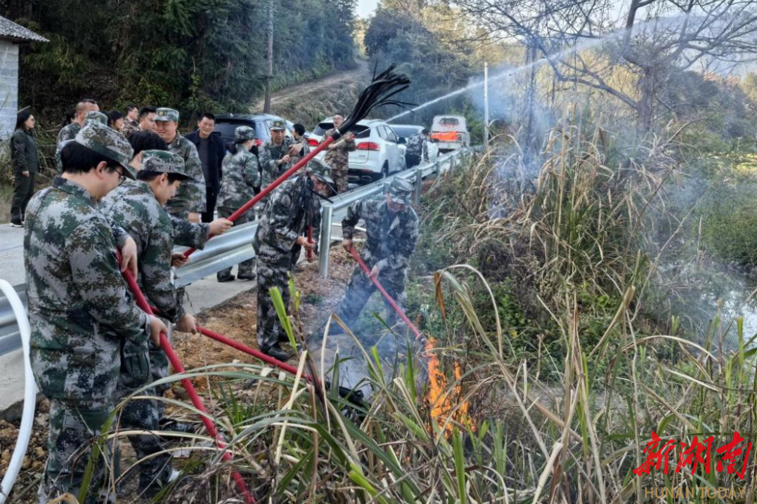 [湖南日报]炎陵县霞阳镇：人大代表“三力”齐发 筑牢森林“防火墙”