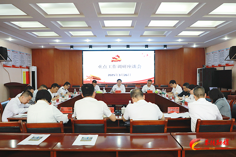 杨红兵到思聪街道调研
