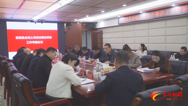 茶陵县部署推进全域土地综合整治工作