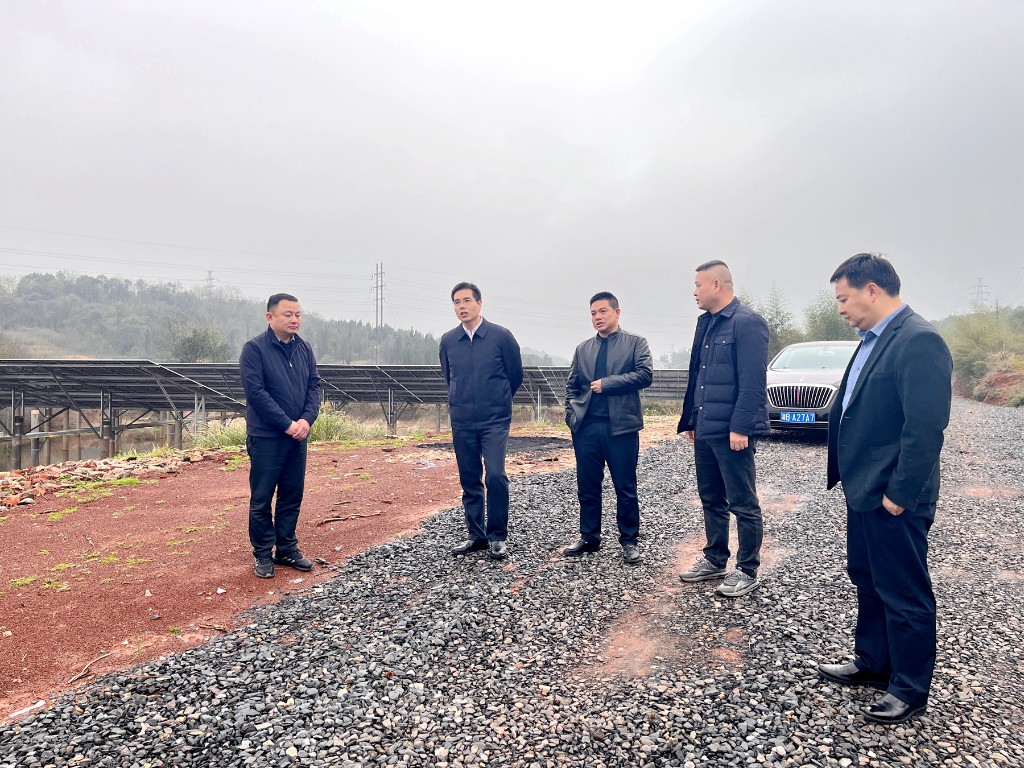 武挪强调研联星街道经济社会发展情况