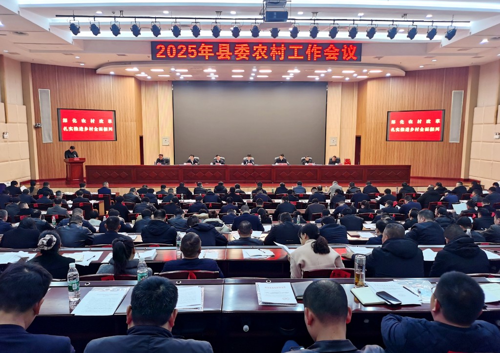 2025年攸县县委农村工作会议召开 李鹏程强调：创新破题 开创全县“三农”工作崭新局面