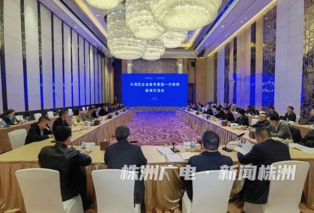 粤港澳大湾区企业家组团来株考察