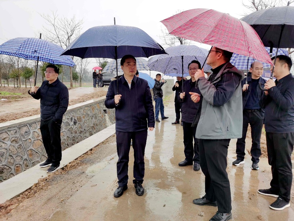 李鹏程调研粮食生产工作时强调：优结构 深改革 强保障 开创全县粮食生产高质量发展新局面