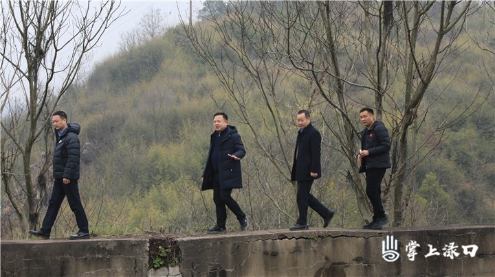 李晓彤：强化规划引领 以系统思维盘活存量土地资源