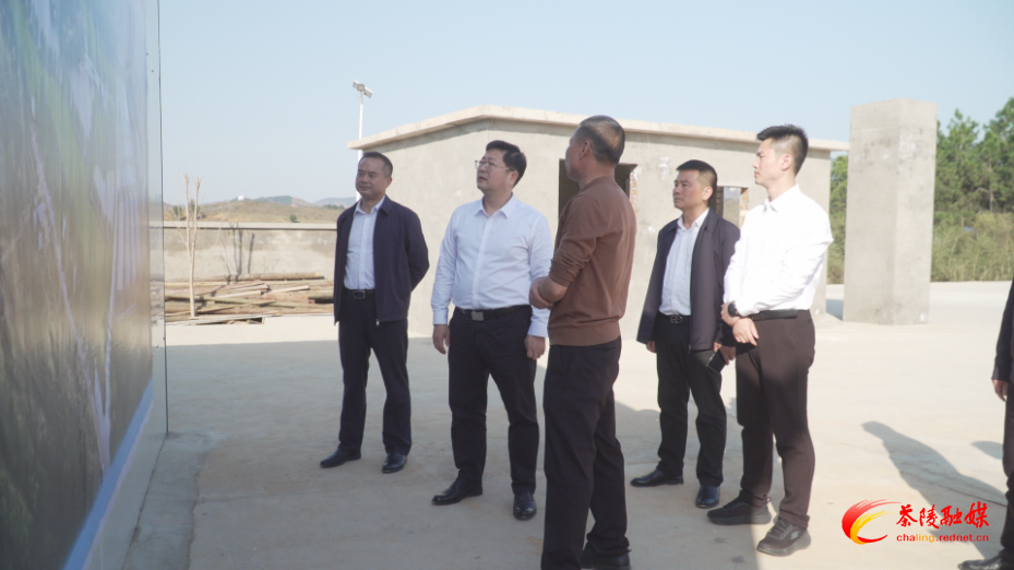 杨红兵到严塘镇调研