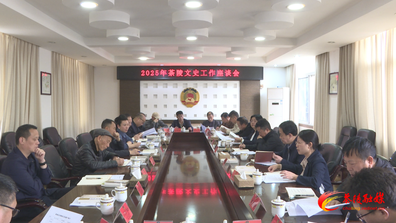 2025年茶陵县文史工作座谈会召开