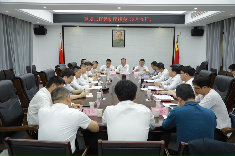 杨红兵到湖口镇调研