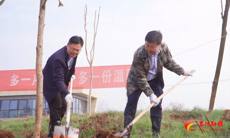 茶陵县开展全民义务植树活动