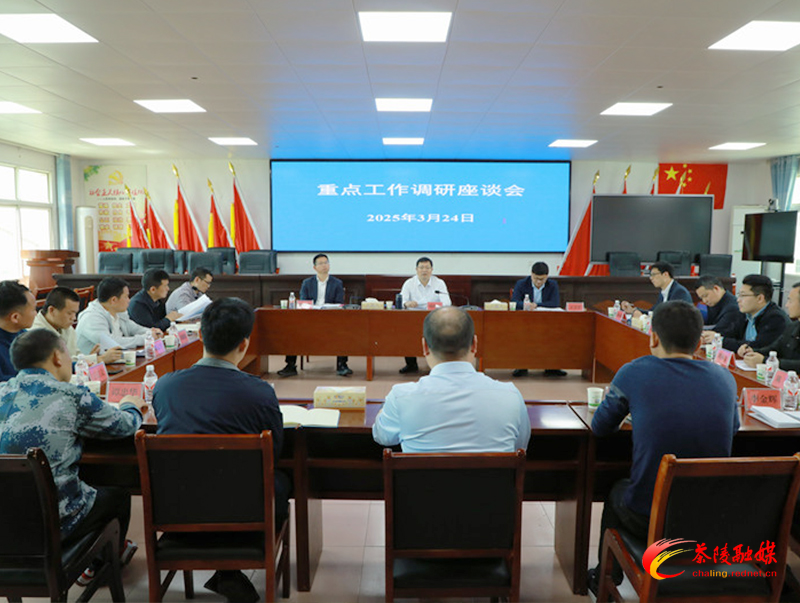 杨红兵到高陇镇、秩堂镇调研