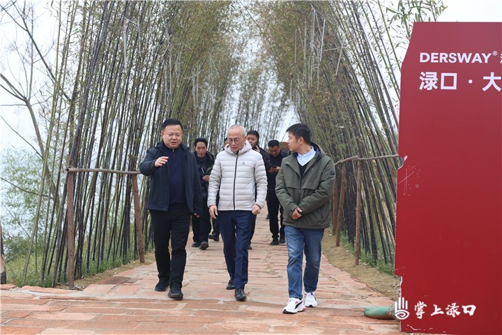 著名文旅策划大师叶文智为渌口文旅产业发展献策 助力 赋能