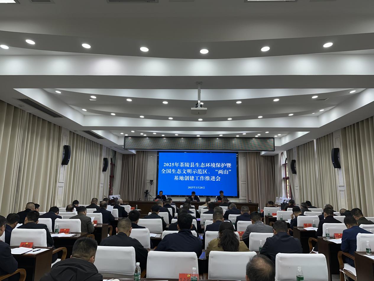 2025年茶陵县生态环境保护工作暨全国生态文明示范区、"两山"基地创建工作推进会召开