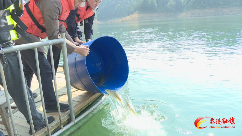 茶陵：多部门联合执法 整治非法垂钓