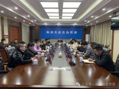 株洲召开2025年工贸行业安全监管工作视频会议