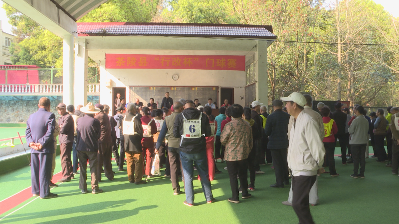 茶陵县“行改杯”门球赛开赛
