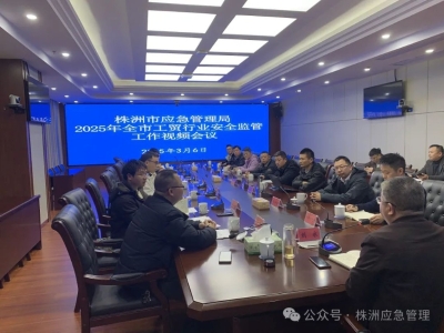 株洲召开2025年工贸行业安全监管工作视频会议