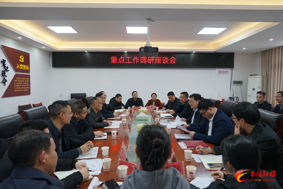 杨红兵到马江镇、经开区调研