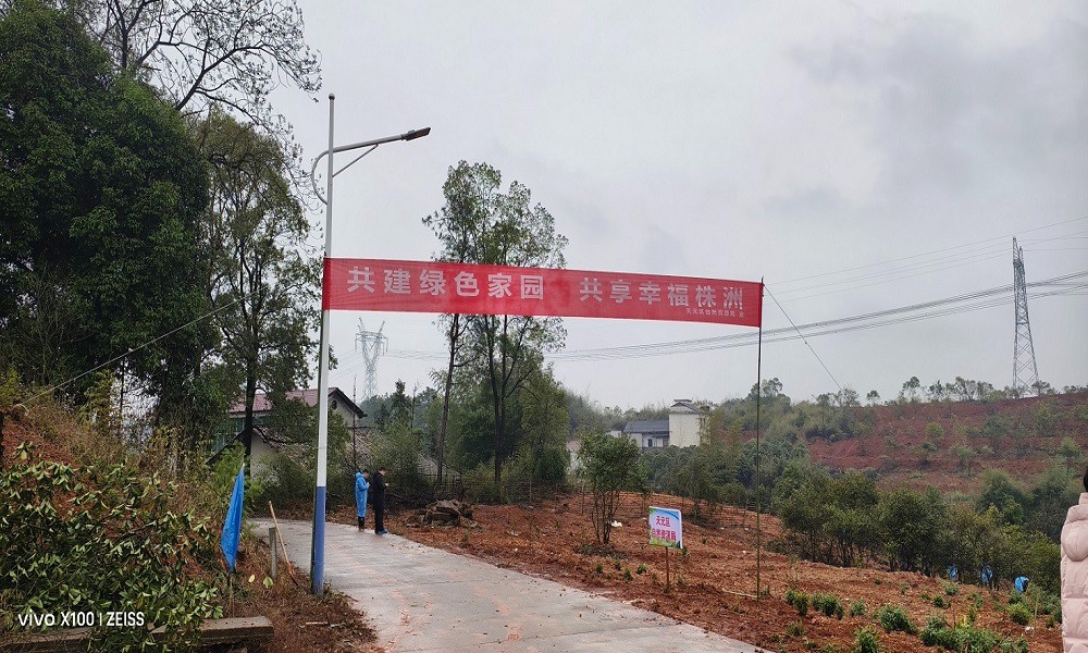 天元区开展2025年全民义务植树活动