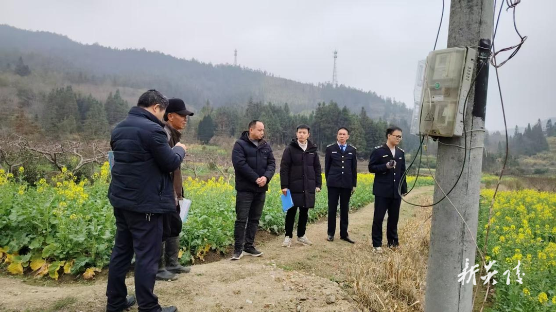 水口镇：坚决守住耕地红线 联合执法制止基本农田种树行为
