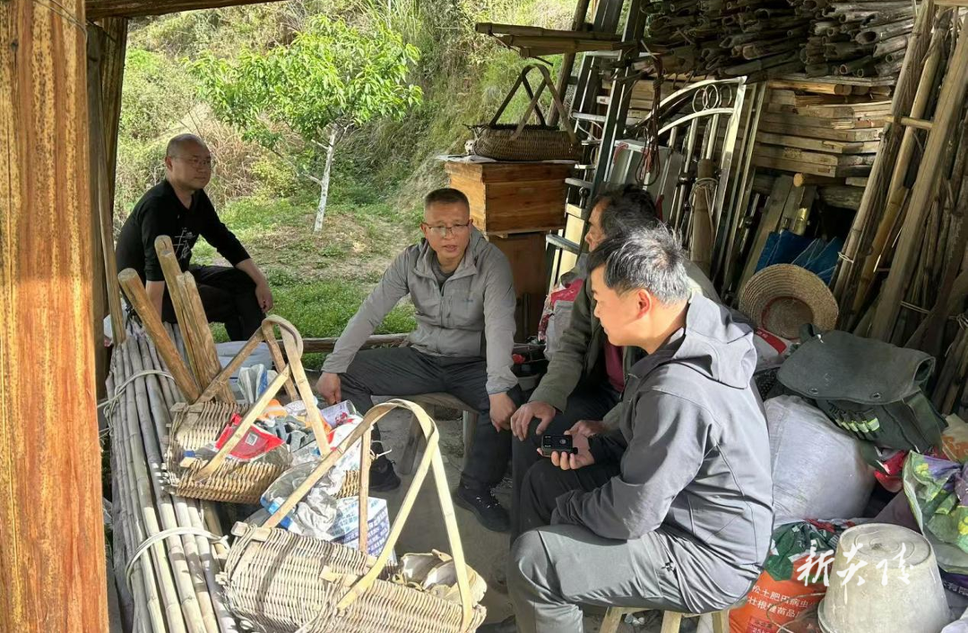 中村瑶族乡：人大代表聚力 筑牢基层治理防线
