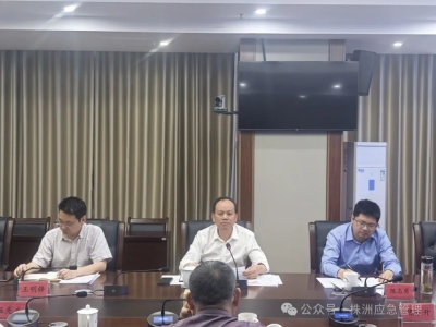 株洲市应安办组织召开湖南省湘东矿业有限公司安全生产会商会议