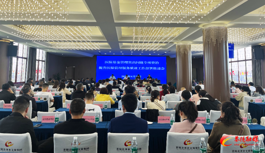 茶陵县启动医保基金监管集中宣传 专项整治提升服务质效