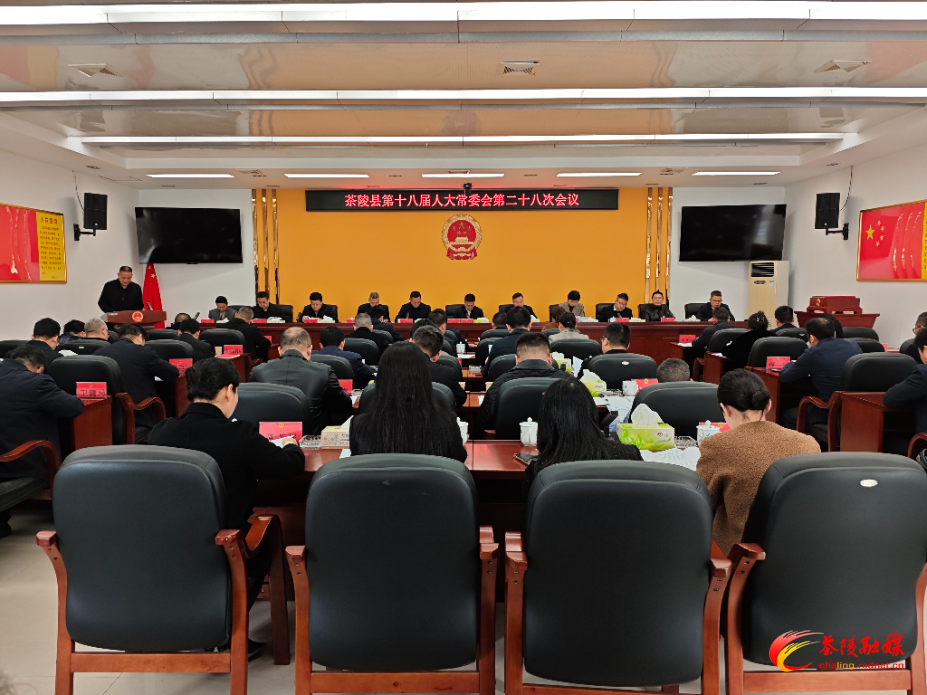 茶陵县第十八届人民代表大会常务委员会第二十八次会议召开