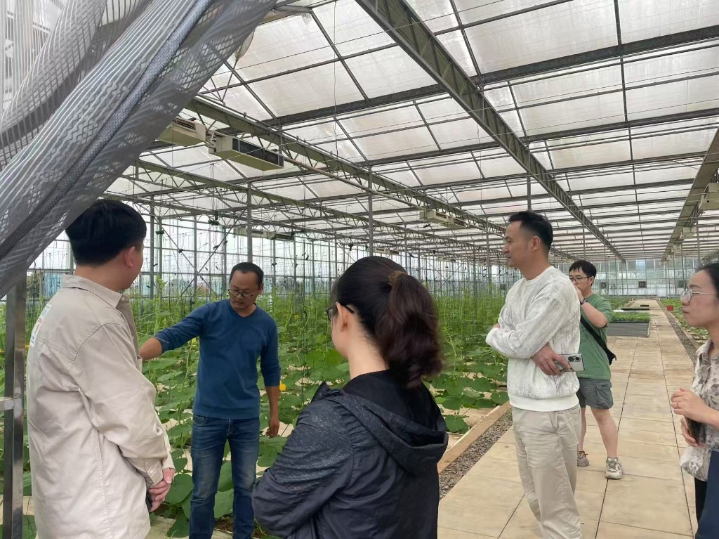 市农机事务中心携手统计局开展设施农业大棚专项统计工作