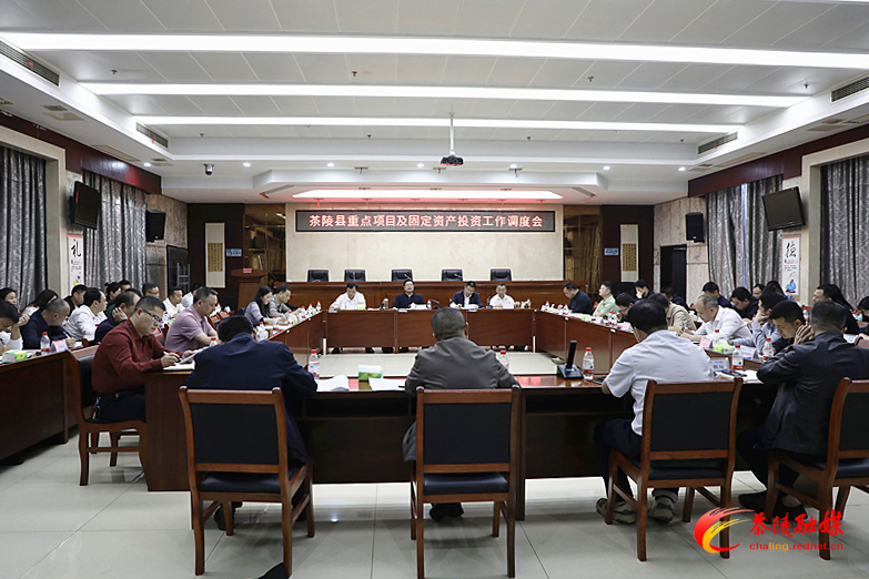 茶陵县重点项目及固定资产投资工作调度会召开