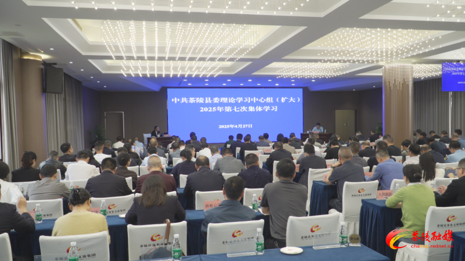 中共茶陵县委理论学习中心组（扩大）2025年第七次集体学习举行