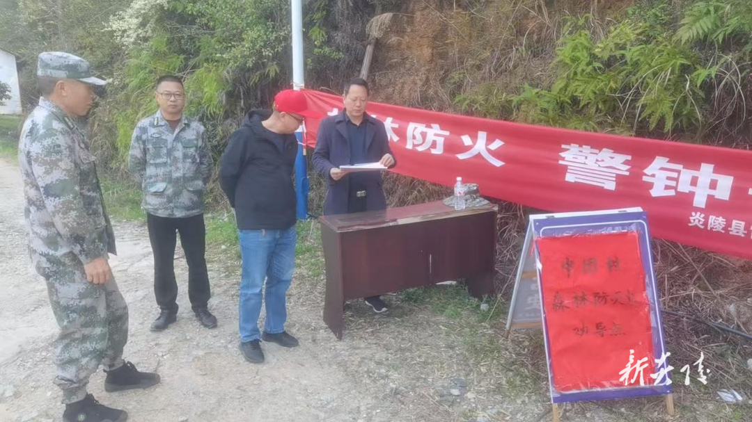 霞阳镇：人大代表“三力”齐发 筑牢森林“防火墙”