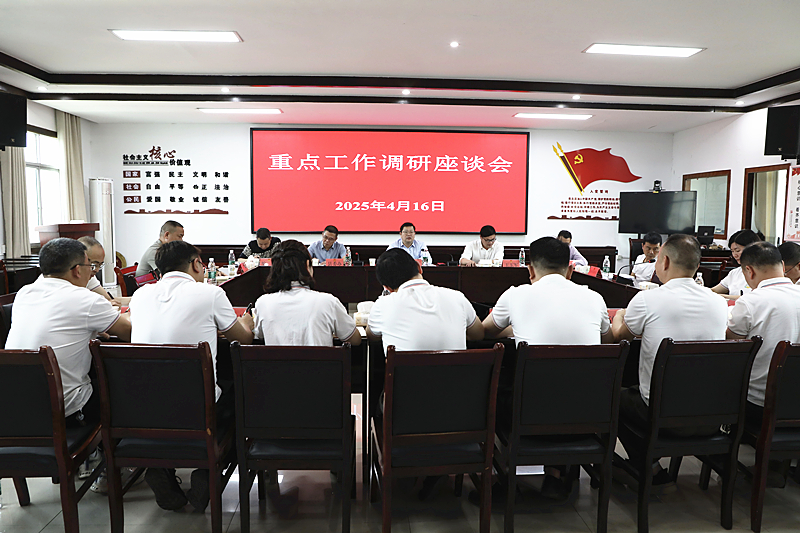 杨红兵到洣江街道调研