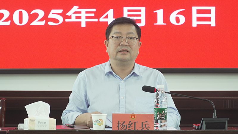 杨红兵到洣江街道调研