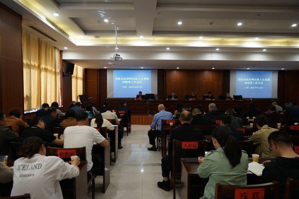 茶陵县召开政府网站线上办事指南梳理工作会议