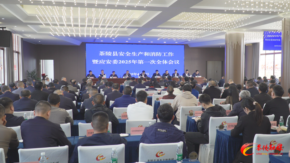 茶陵县安全生产和消防工作暨应安委2025年第一次全体会议召开