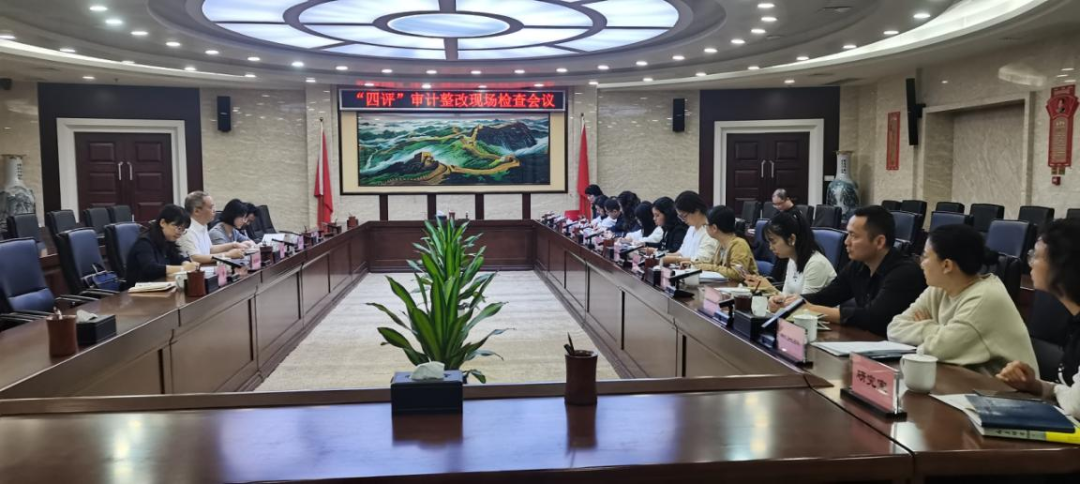 动真碰硬抓整改 标本兼治促提升——市审计局开展审计整改现场督导